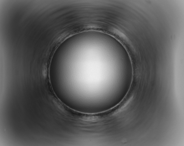 X0000088700833200706141428