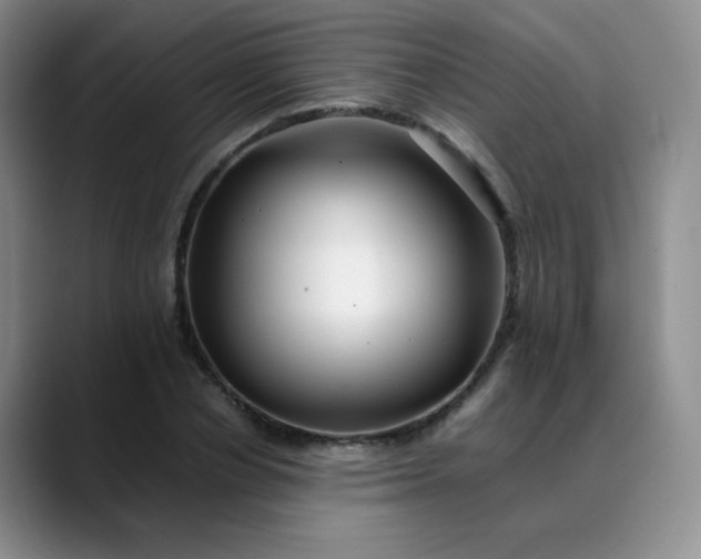 X0000088700834200706141428