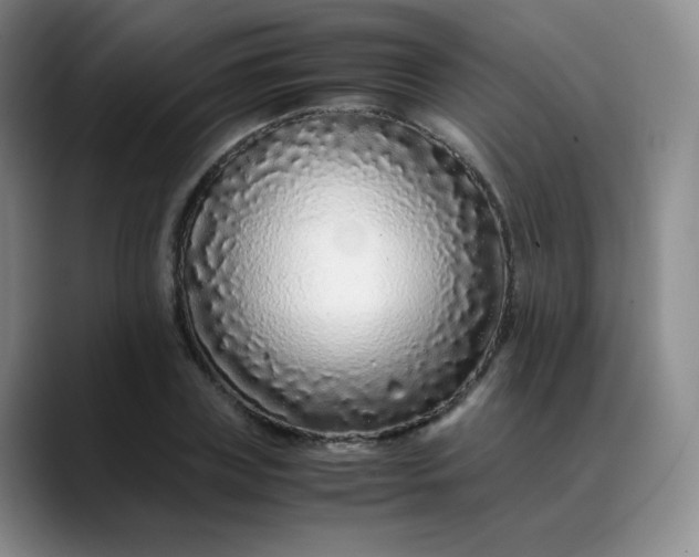 X0000088700835200706141429