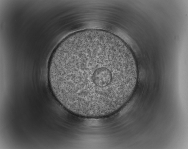 X0000088700836200706141429