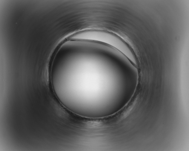 X0000088700838200706141429