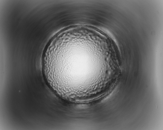 X0000088700839200706141429
