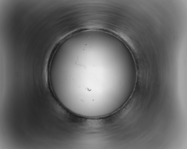 X0000088700840200706141429