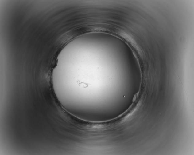 X0000088700841200706141429