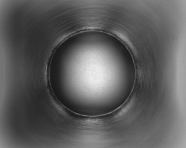 X0000088700842200706141429
