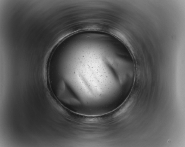 X0000088700843200706141429