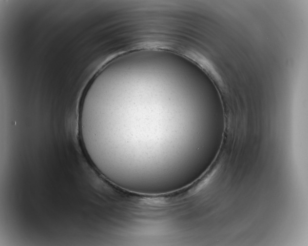 X0000088700844200706141429