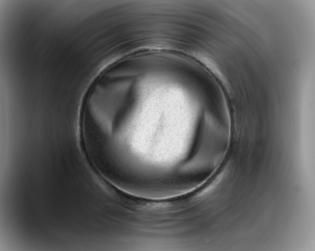 X0000088700845200706141429