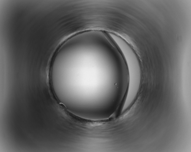 X0000088700846200706141429