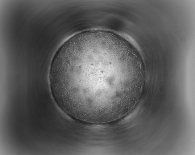 X0000088700847200706141429