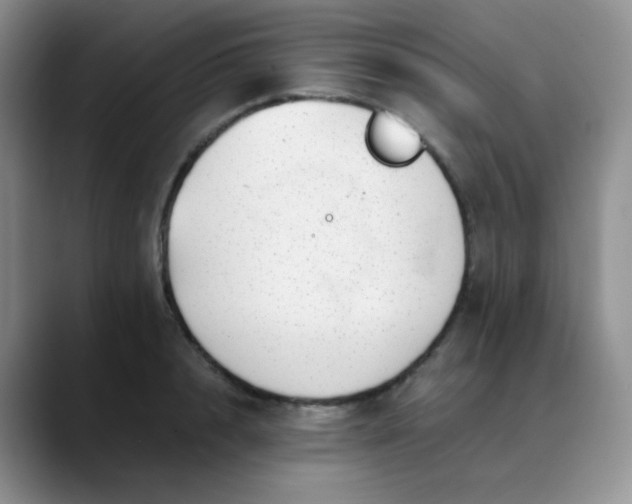 X0000088700848200706141429