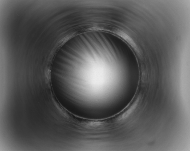 X0000088700849200706141429