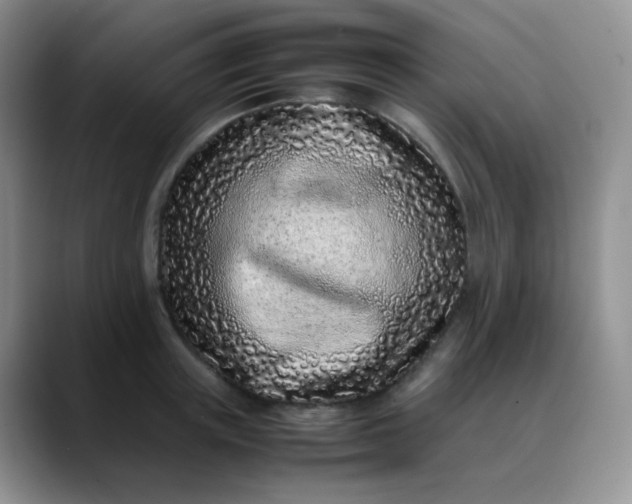 X0000088700851200706141429