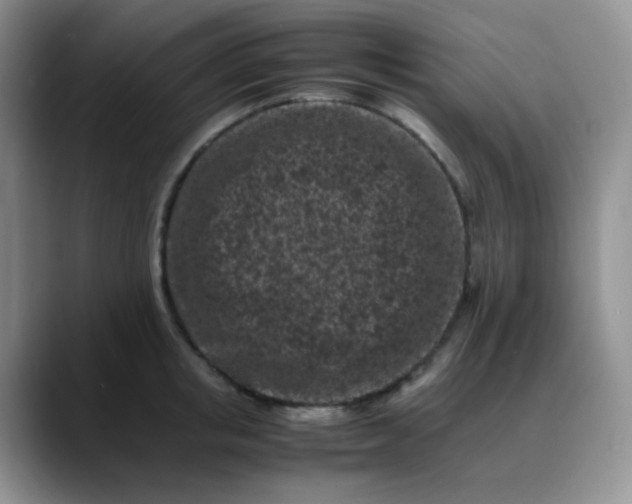 X0000088700853200706141429