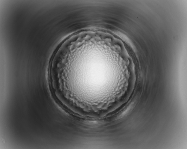 X0000088700855200706141429