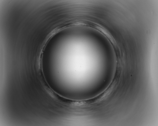 X0000088700858200706141429