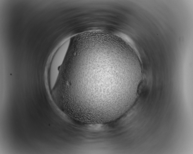 X0000088700859200706141429