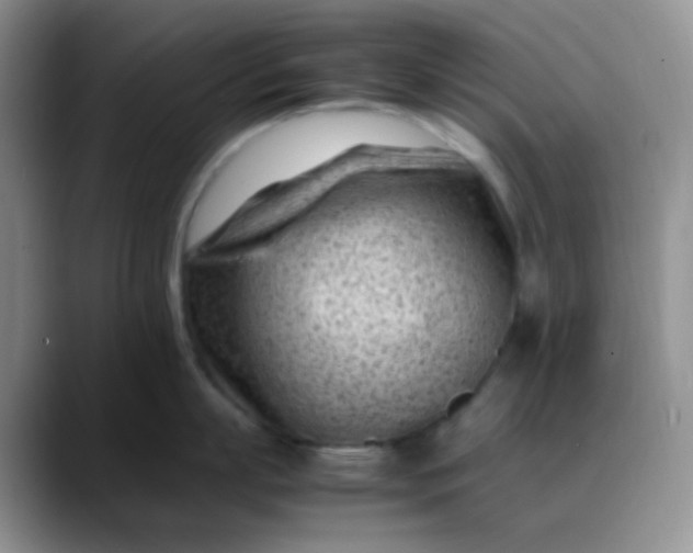 X0000088700863200706141429