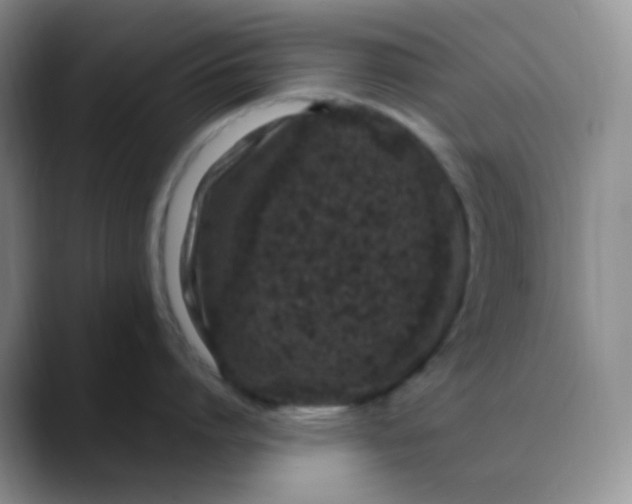 X0000088700864200706141429