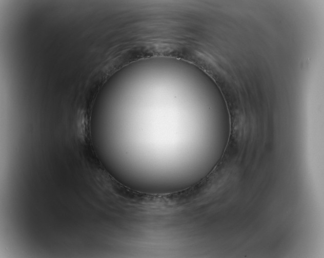 X0000088700866200706141428