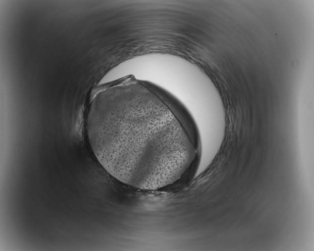 X0000088700868200706141428