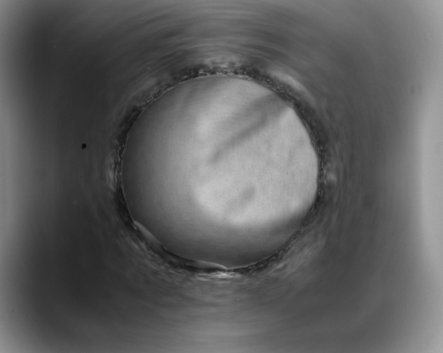 X0000088700869200706141428
