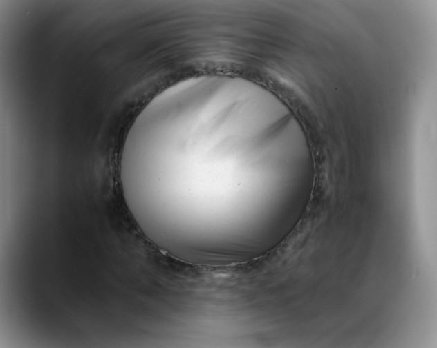 X0000088700870200706141428