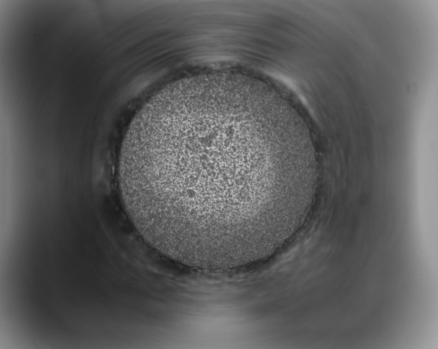 X0000088700871200706141428
