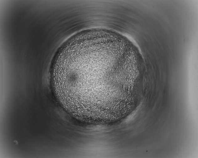X0000088700879200706141428