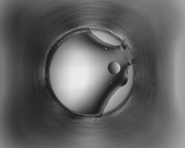 X0000088700880200706141428