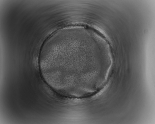 X0000088700881200706141428
