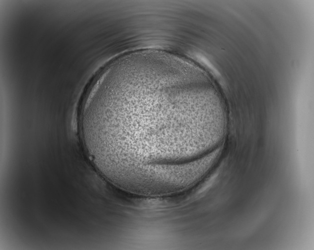 X0000088700883200706141428