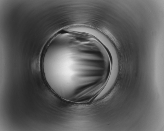 X0000088700884200706141428