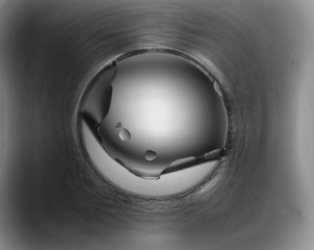 X0000088700885200706141428