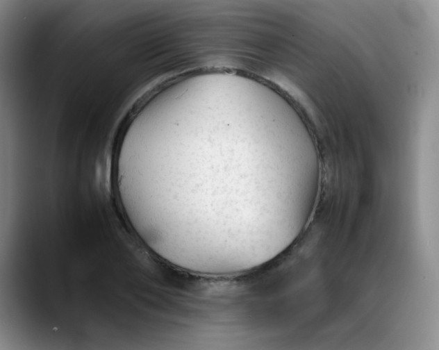 X0000088700886200706141428