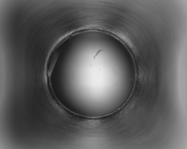 X0000088700888200706141428