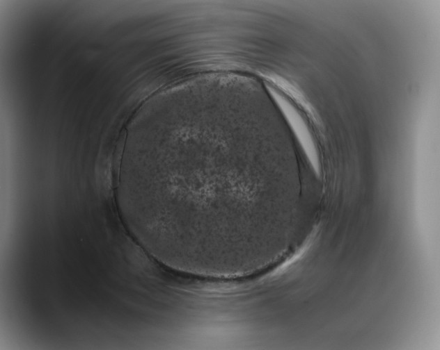 X0000088700889200706141428