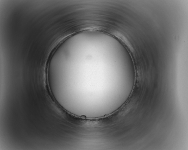 X0000088700890200706141428