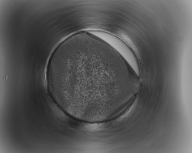 X0000088700892200706141428