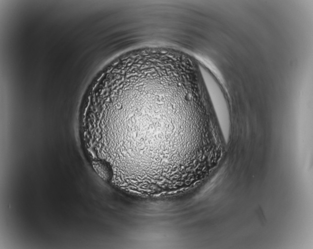 X0000088700895200706141428