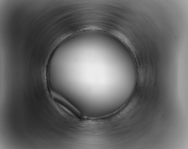 X0000088700898200706141428