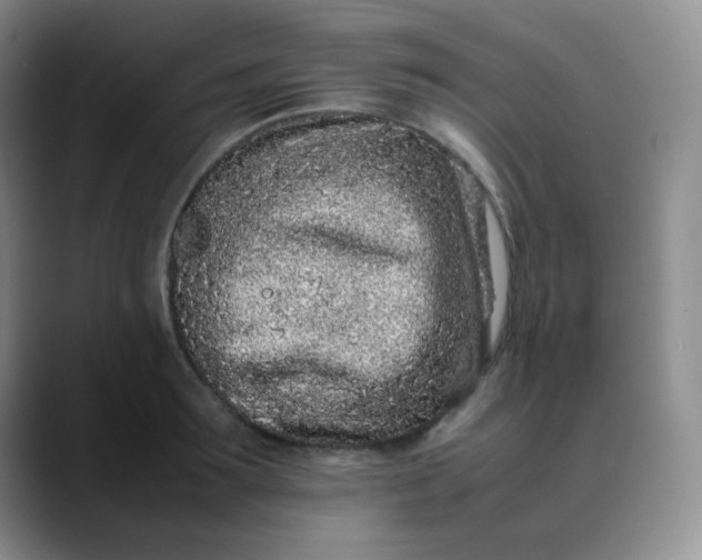 X0000088700899200706141428