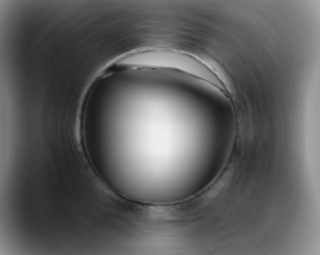 X0000088700904200706141428