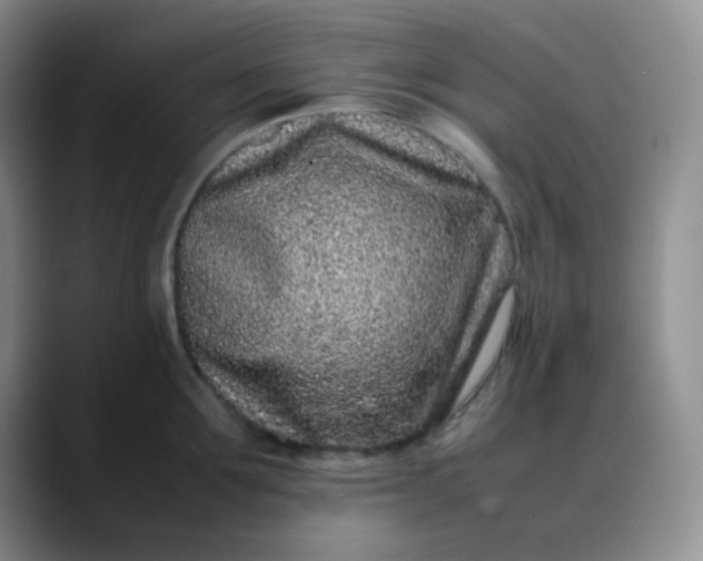 X0000088700907200706141428