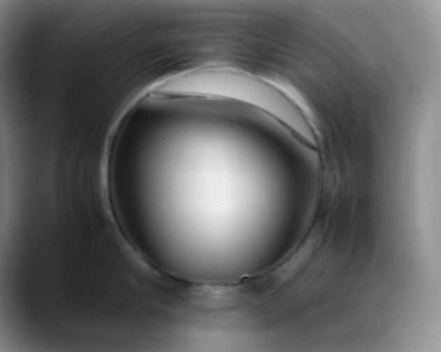 X0000088700910200706141428
