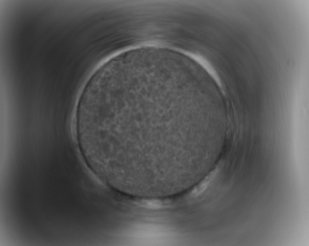 X0000088700911200706141428