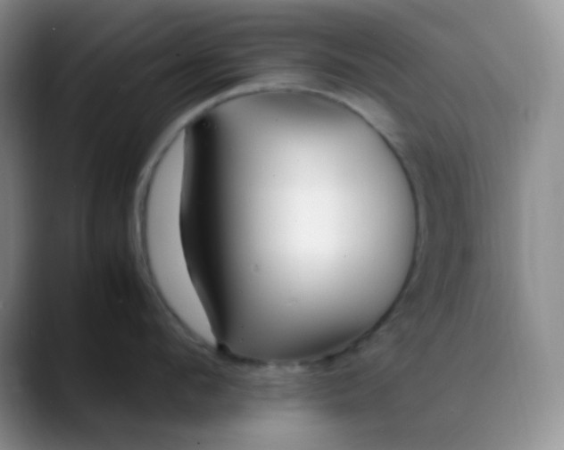 X0000088700912200706141428