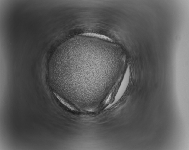X0000088700913200706141427