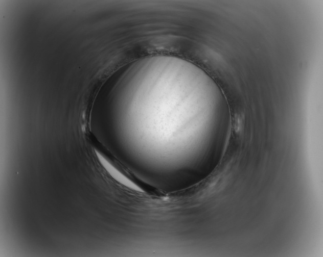 X0000088700915200706141427