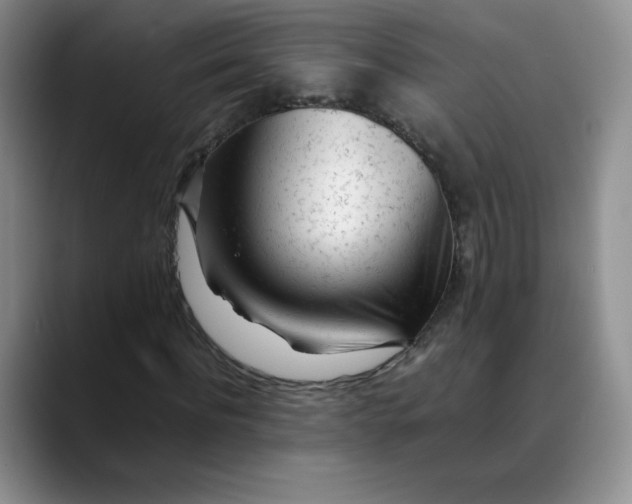X0000088700916200706141427